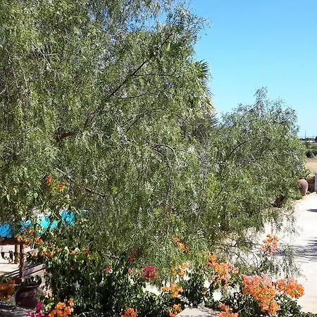 Solar Da Campina Guest house