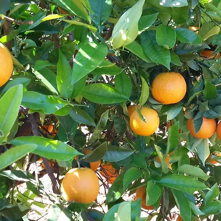Vendégház Solar Da Campina 3*